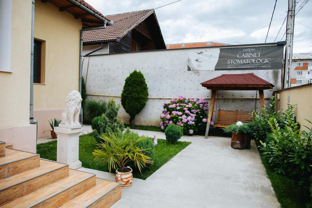 Pensiunea Casa Cristal Târgu Jiu エクステリア 写真