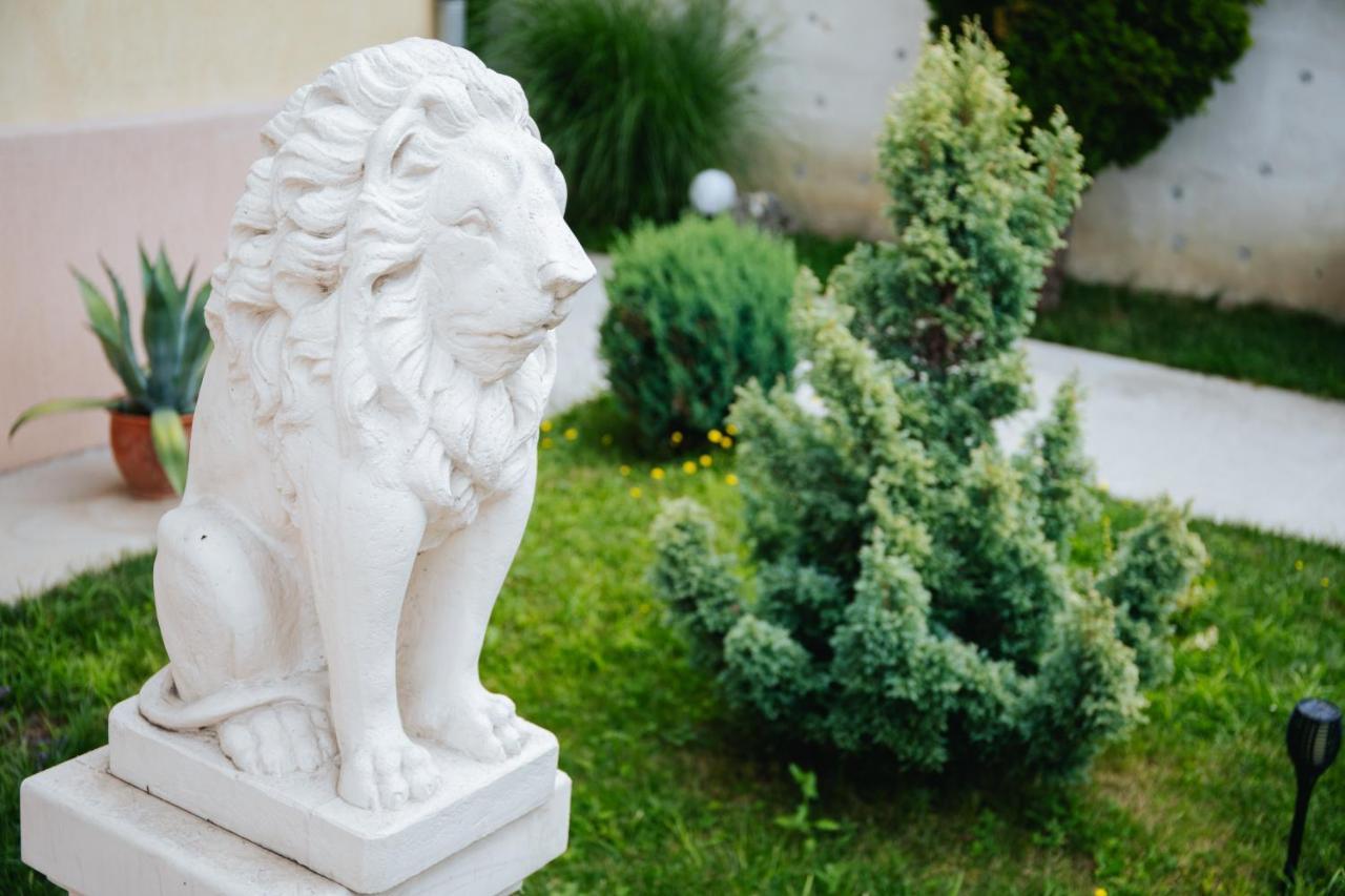 Pensiunea Casa Cristal Târgu Jiu エクステリア 写真